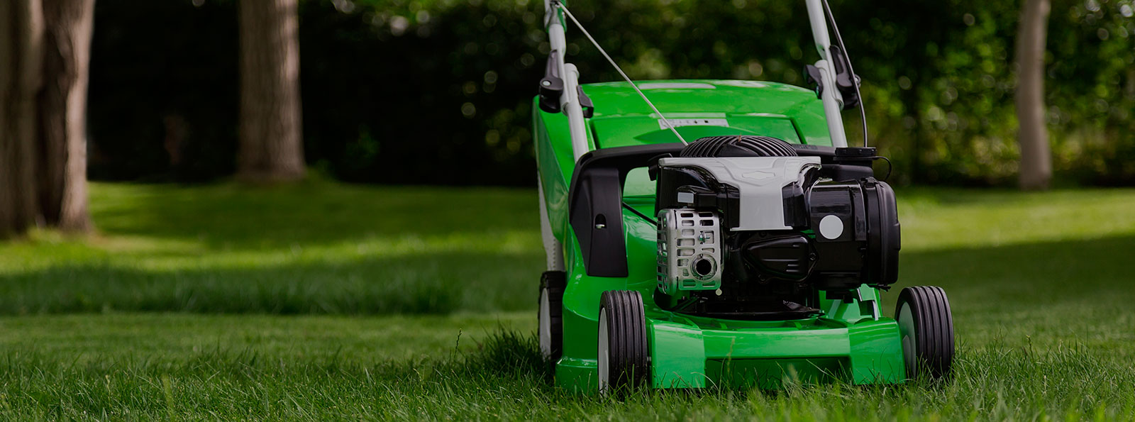 SW Garden Care StokeonTrent Garden Services and Grounds Maintenance