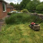 SW Garden Care