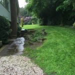 SW Garden Care